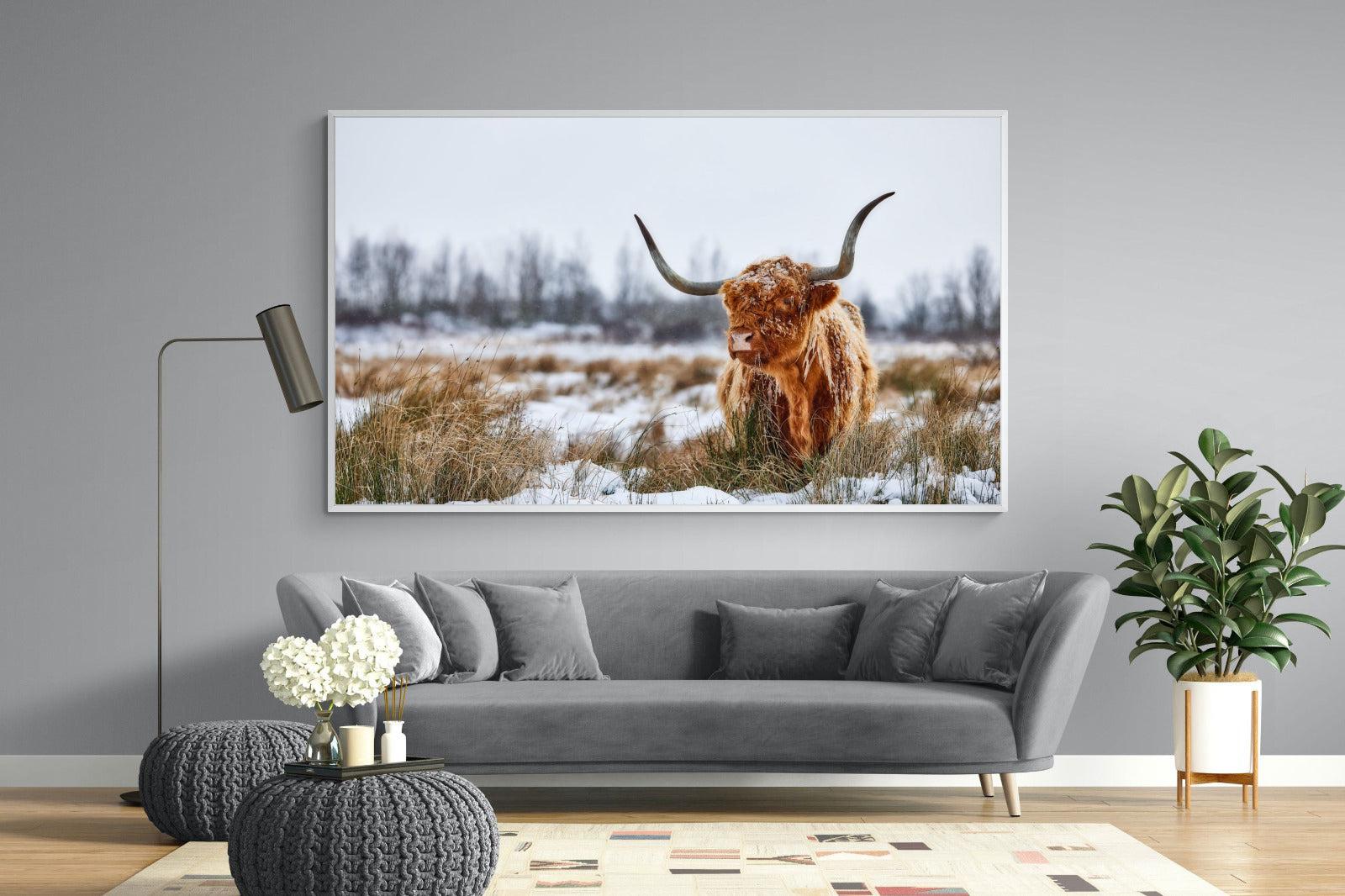 Scottish Highlander (colour)-Wall_Art-220 x 130cm-Mounted Canvas-White-Pixalot