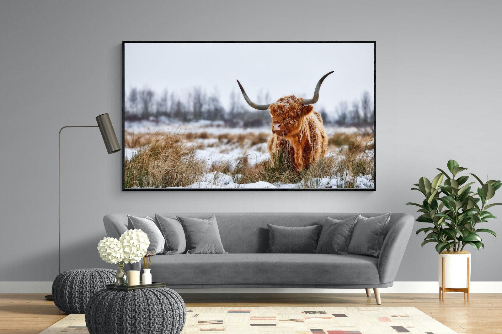 Scottish Highlander (colour)-Wall_Art-220 x 130cm-Mounted Canvas-Black-Pixalot