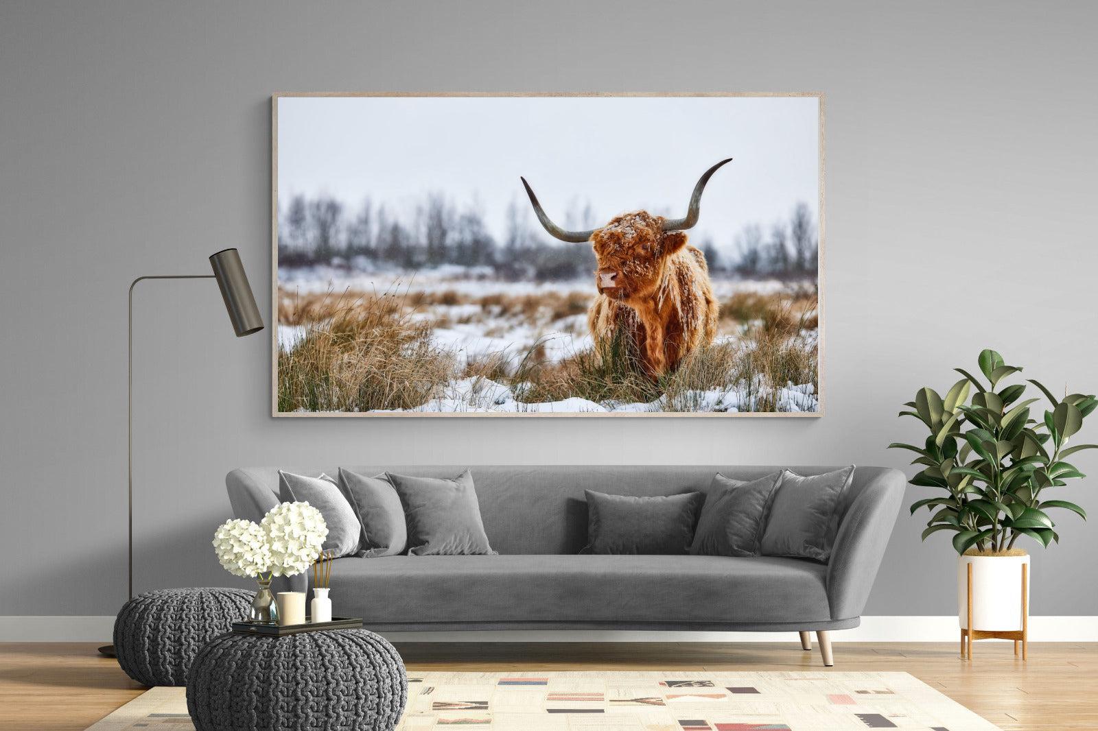 Scottish Highlander (colour)-Wall_Art-220 x 130cm-Mounted Canvas-Wood-Pixalot