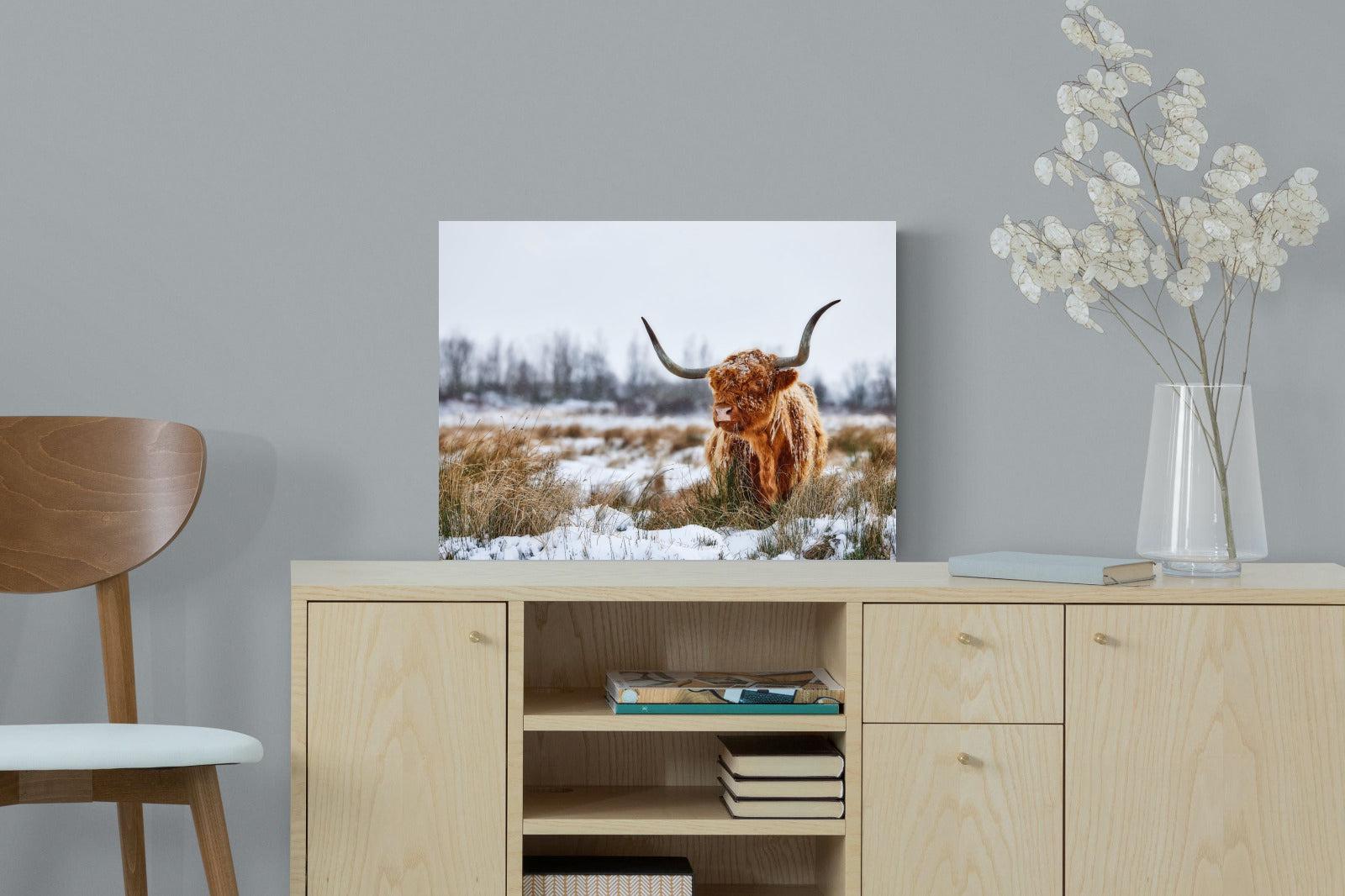 Scottish Highlander (colour)-Wall_Art-60 x 45cm-Mounted Canvas-No Frame-Pixalot