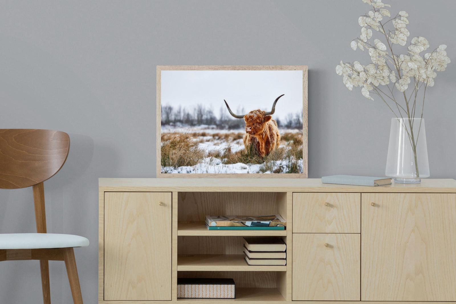 Scottish Highlander (colour)-Wall_Art-60 x 45cm-Mounted Canvas-Wood-Pixalot