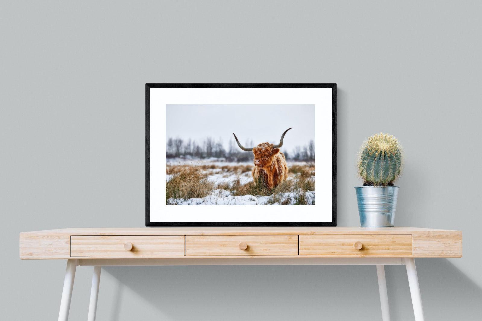 Scottish Highlander (colour)-Wall_Art-80 x 60cm-Framed Print-Black-Pixalot