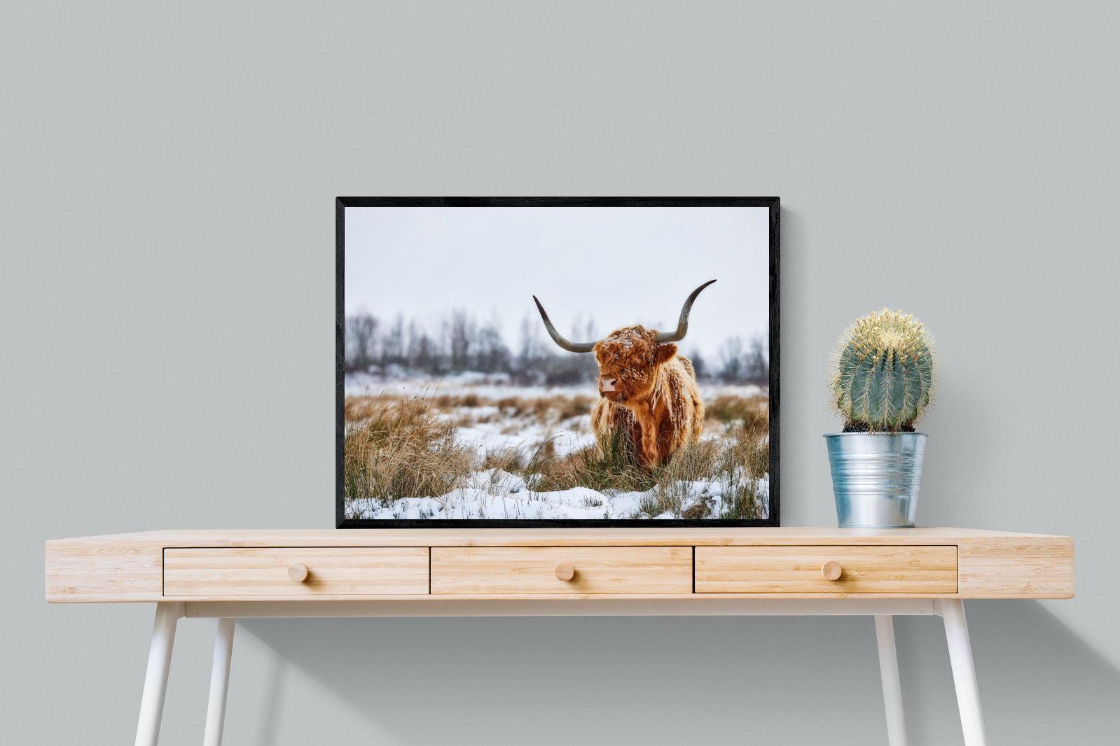 Scottish Highlander (colour)-Wall_Art-80 x 60cm-Mounted Canvas-Black-Pixalot