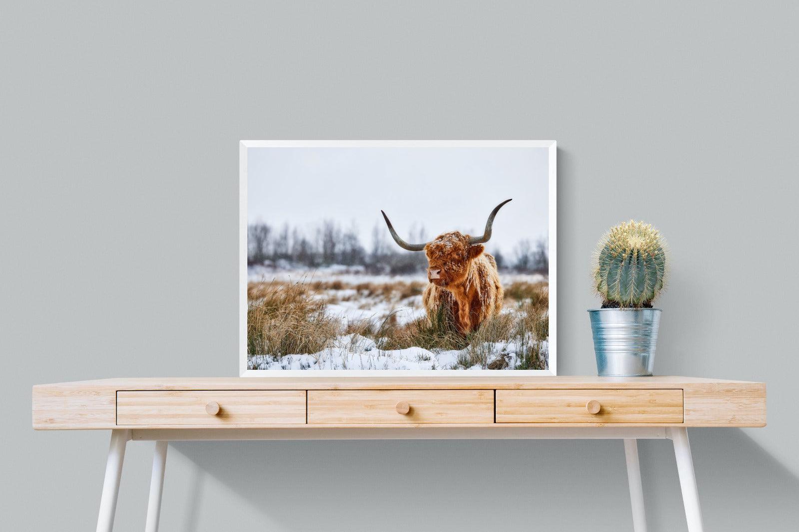 Scottish Highlander (colour)-Wall_Art-80 x 60cm-Mounted Canvas-White-Pixalot