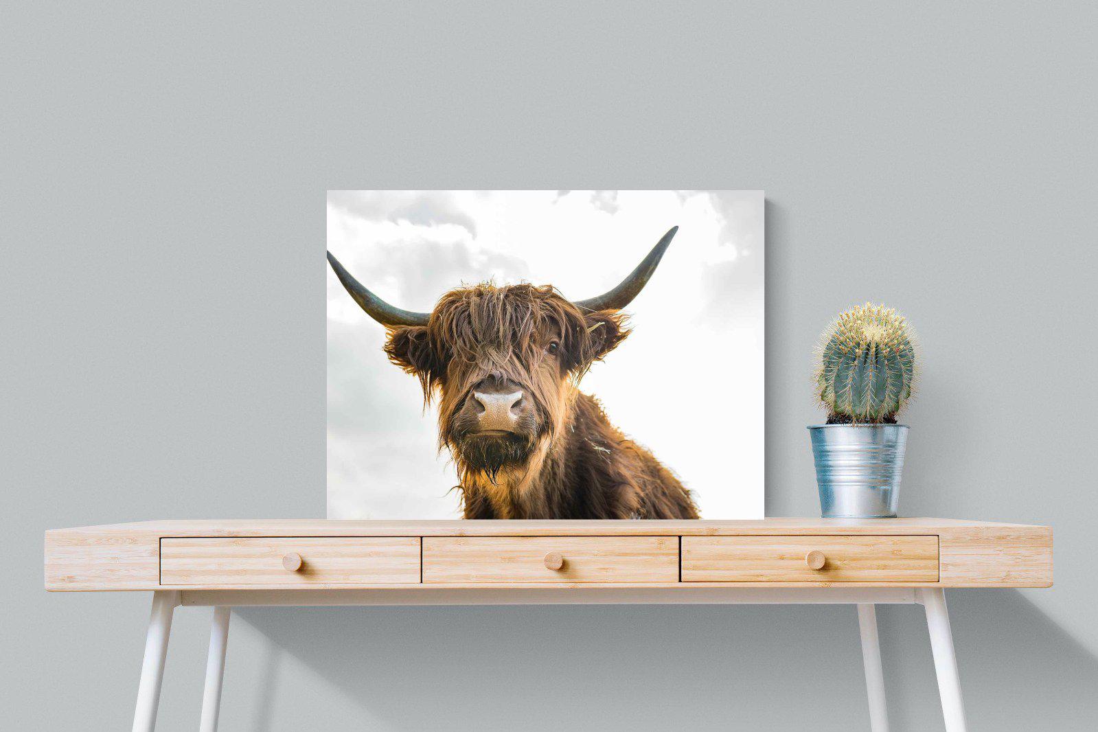 Shaggy-Wall_Art-80 x 60cm-Mounted Canvas-No Frame-Pixalot