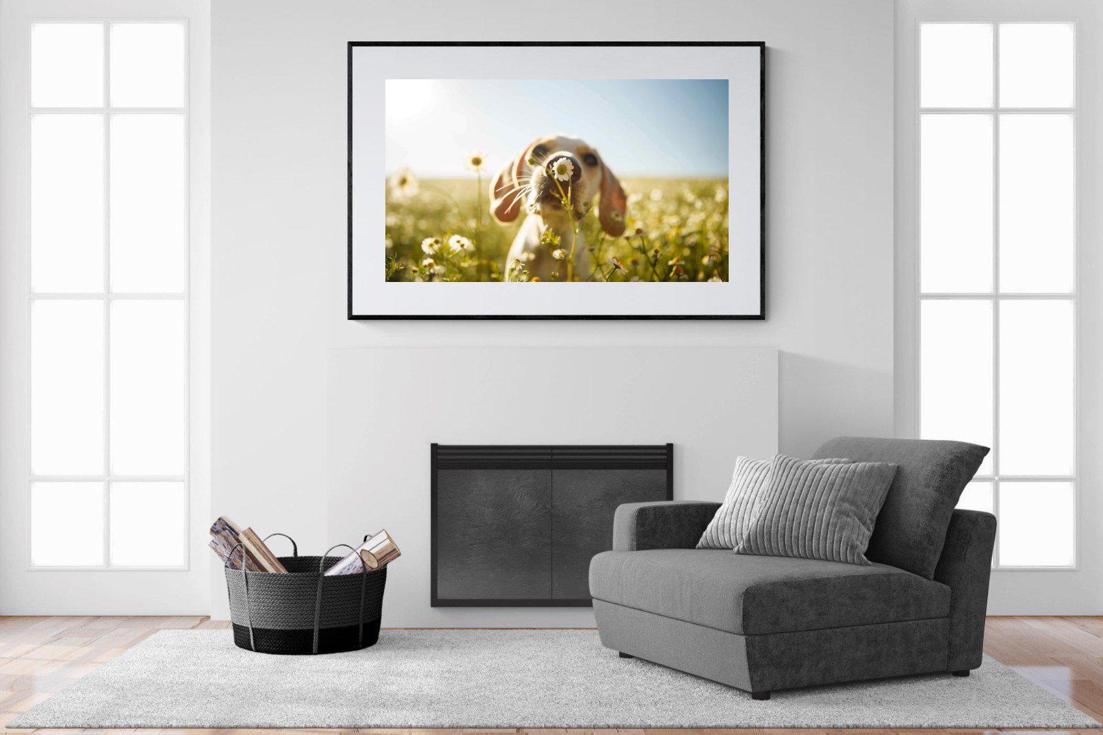 Sniff-Wall_Art-150 x 100cm-Framed Print-Black-Pixalot