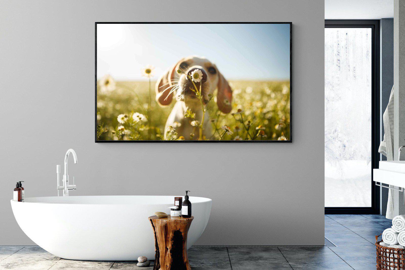 Sniff-Wall_Art-180 x 110cm-Mounted Canvas-Black-Pixalot