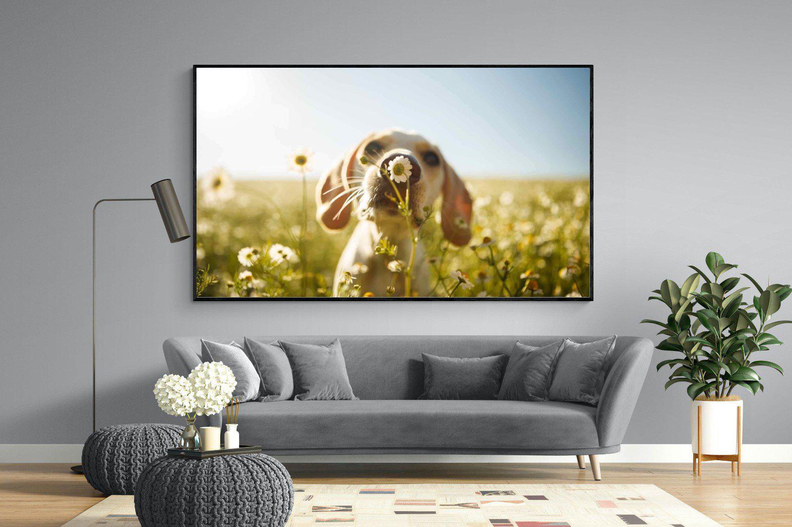 Sniff-Wall_Art-220 x 130cm-Mounted Canvas-Black-Pixalot