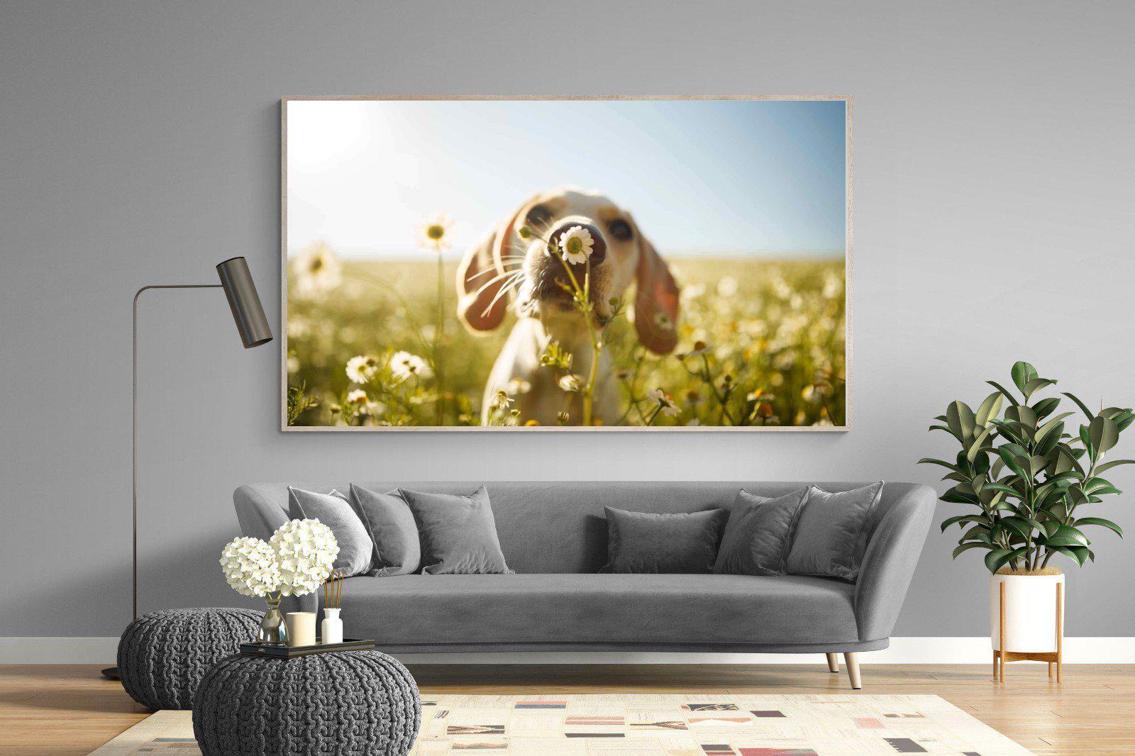 Sniff-Wall_Art-220 x 130cm-Mounted Canvas-Wood-Pixalot