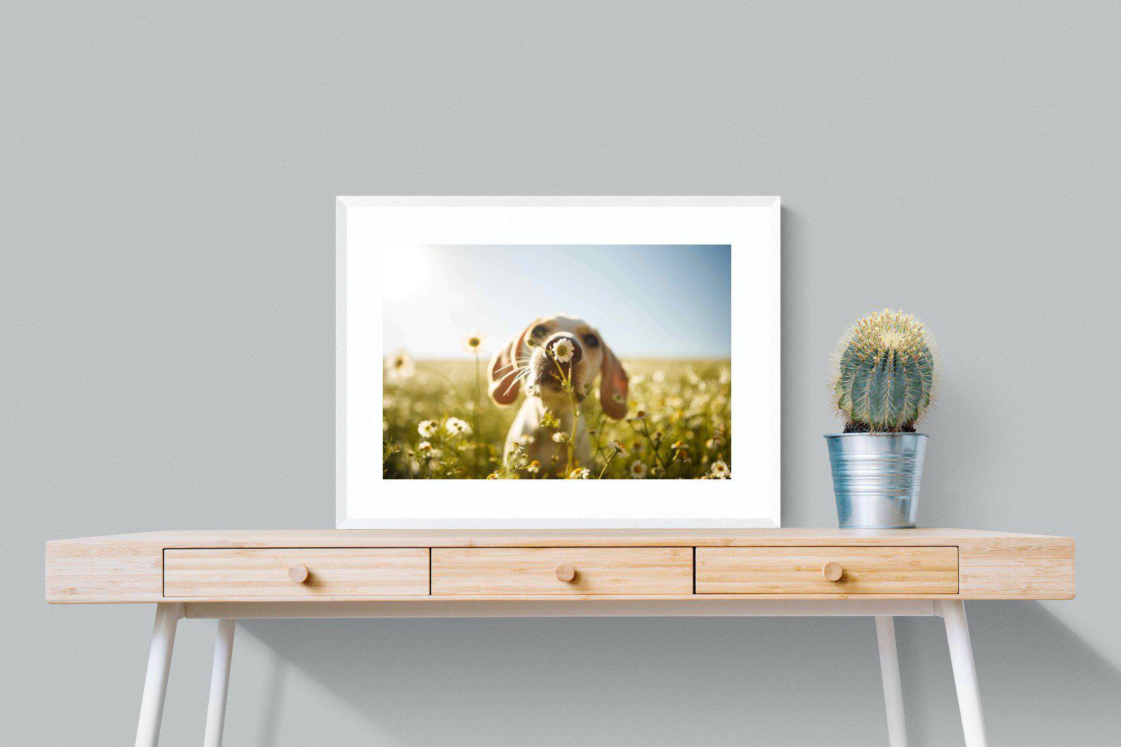 Sniff-Wall_Art-80 x 60cm-Framed Print-White-Pixalot