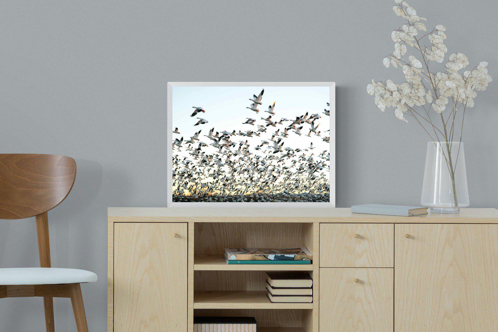 Snow Geese-Wall_Art-60 x 45cm-Mounted Canvas-White-Pixalot