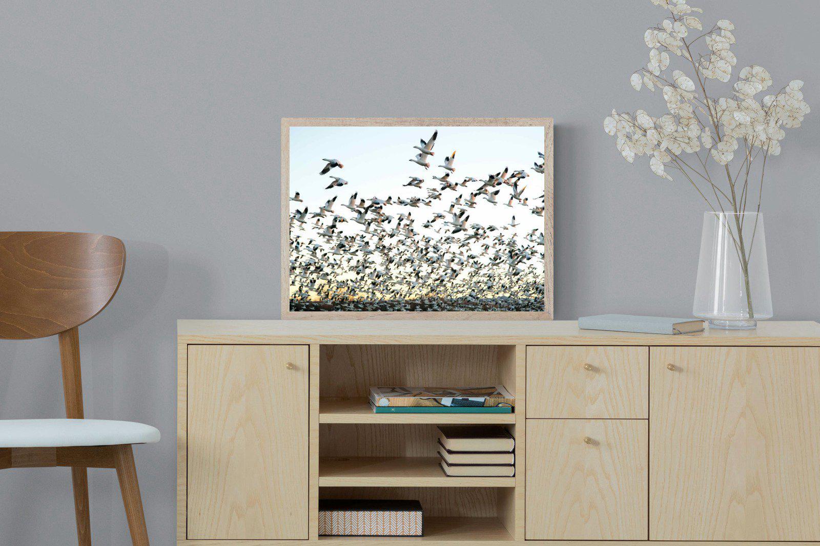 Snow Geese-Wall_Art-60 x 45cm-Mounted Canvas-Wood-Pixalot