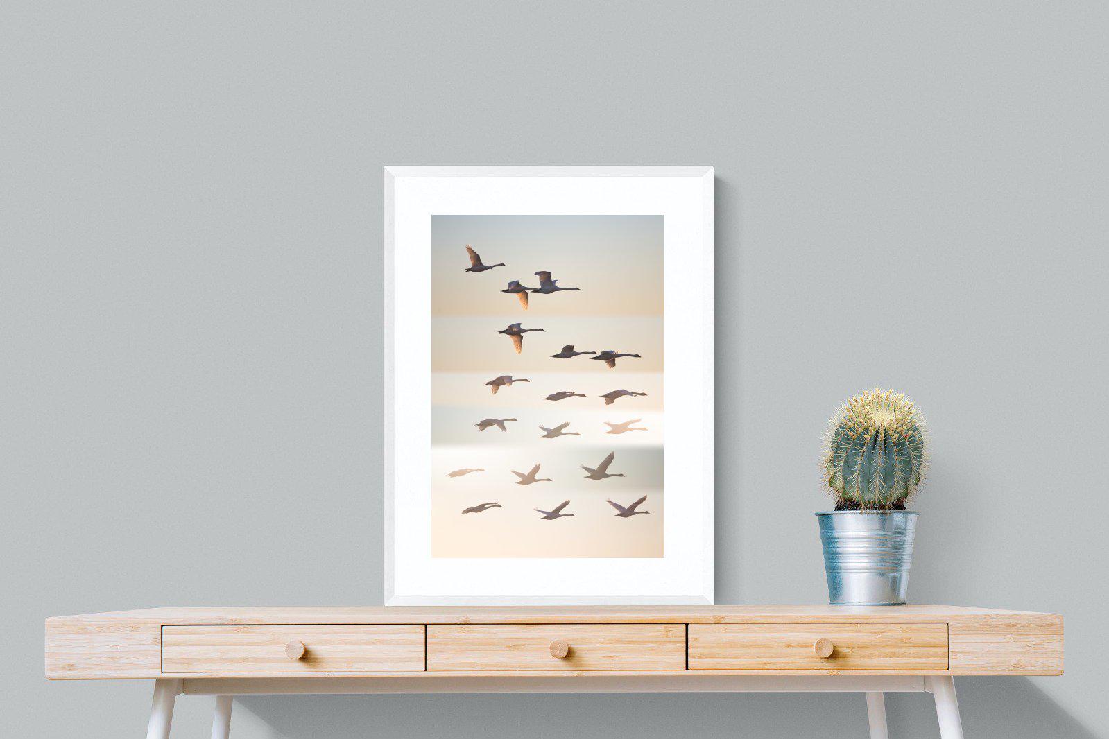 Squadron-Wall_Art-60 x 80cm-Framed Print-White-Pixalot