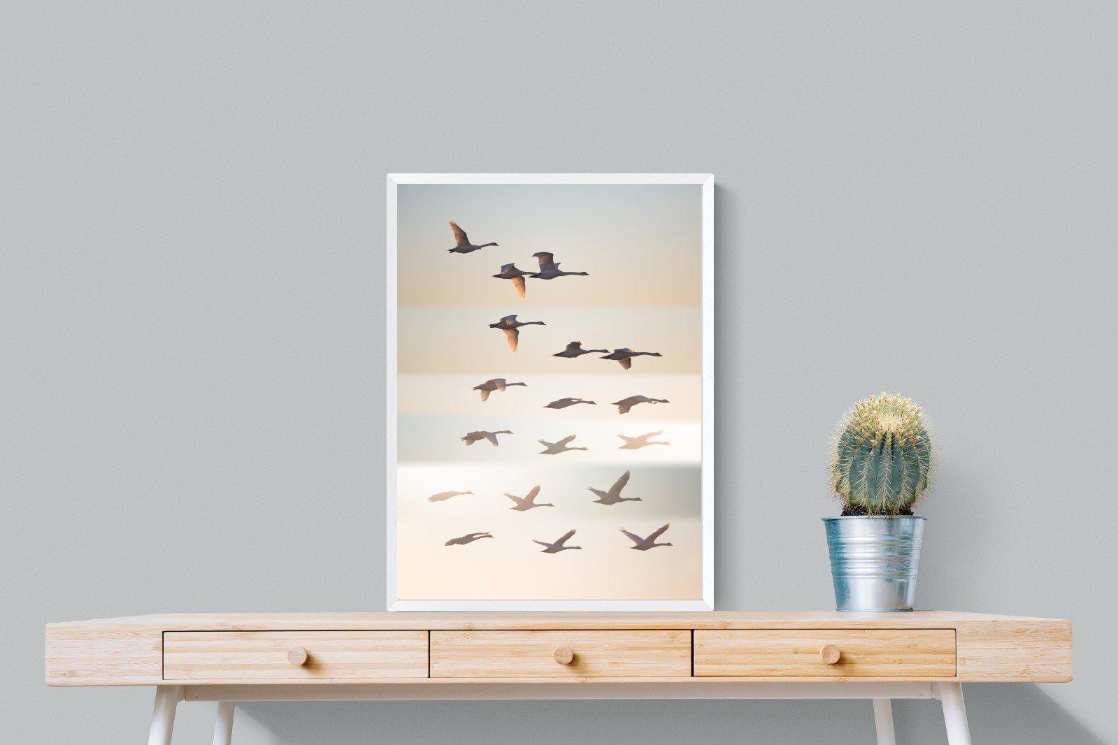 Squadron-Wall_Art-60 x 80cm-Mounted Canvas-White-Pixalot