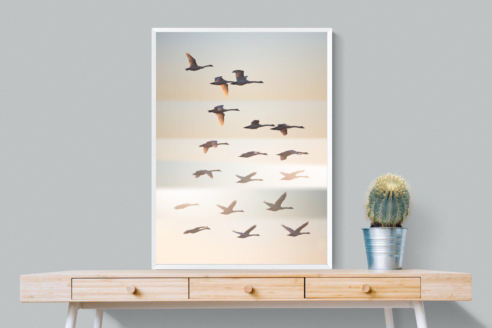 Squadron-Wall_Art-75 x 100cm-Mounted Canvas-White-Pixalot