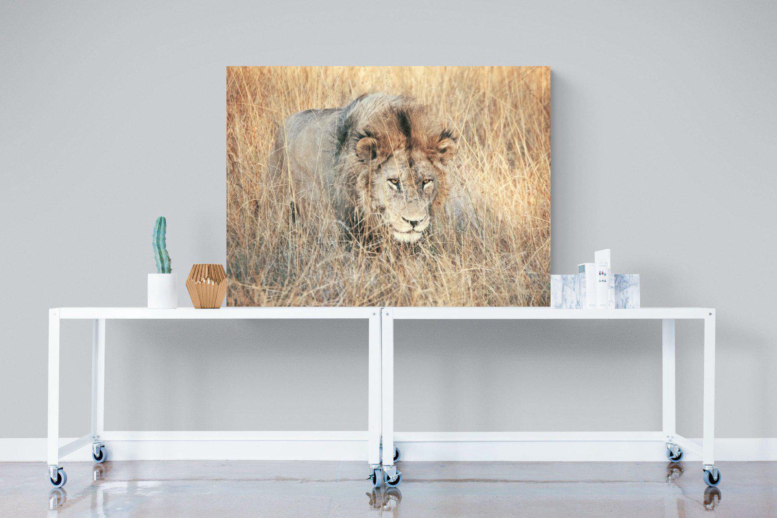 Stalking-Wall_Art-120 x 90cm-Mounted Canvas-No Frame-Pixalot