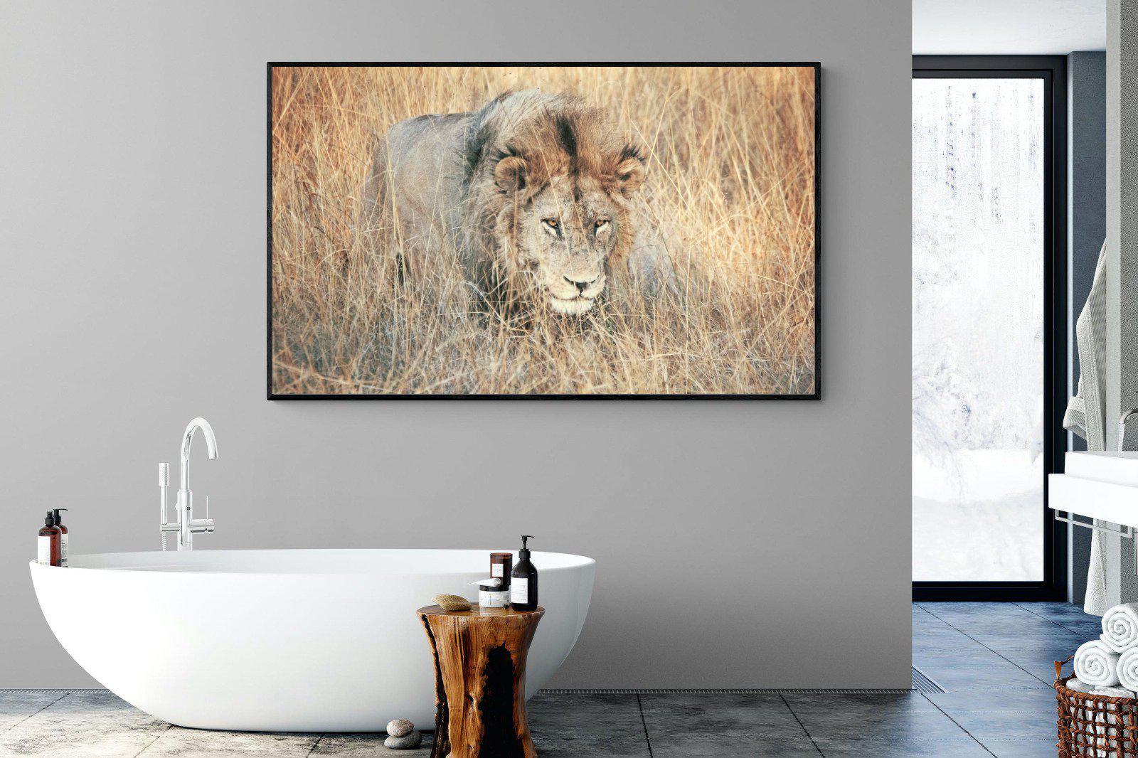 Stalking-Wall_Art-180 x 110cm-Mounted Canvas-Black-Pixalot