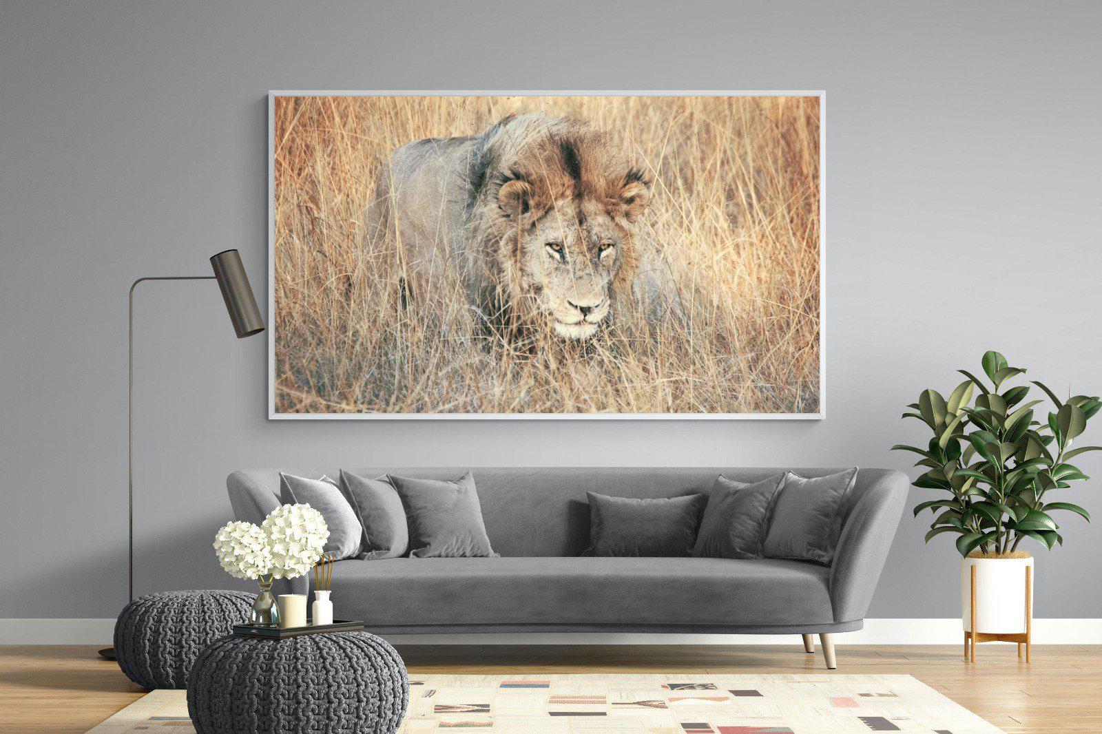 Stalking-Wall_Art-220 x 130cm-Mounted Canvas-White-Pixalot