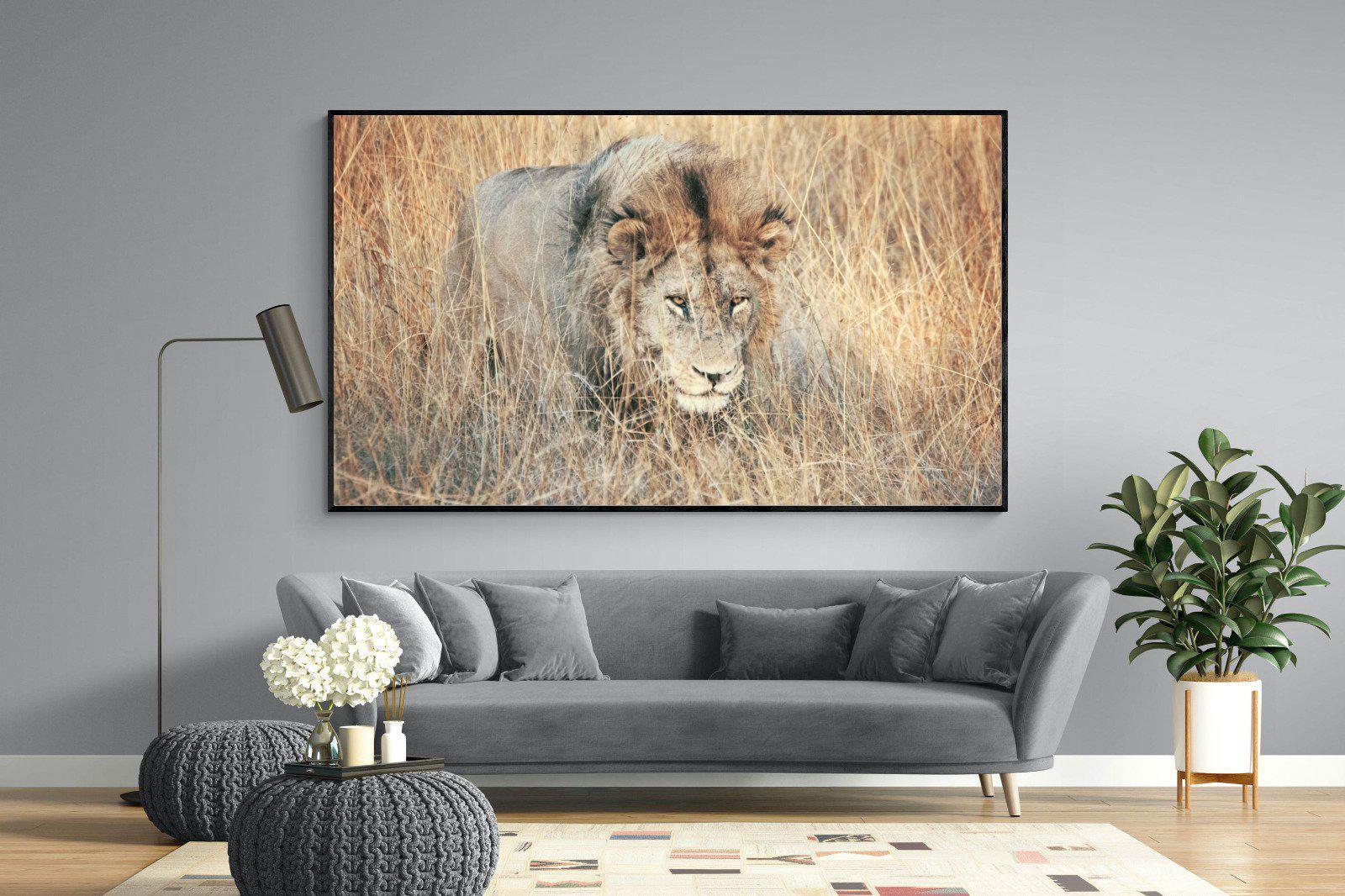 Stalking-Wall_Art-220 x 130cm-Mounted Canvas-Black-Pixalot