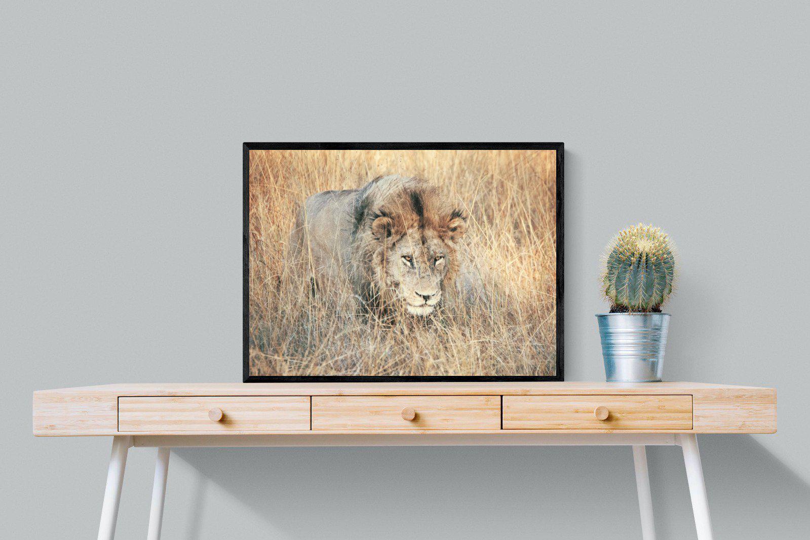 Stalking-Wall_Art-80 x 60cm-Mounted Canvas-Black-Pixalot