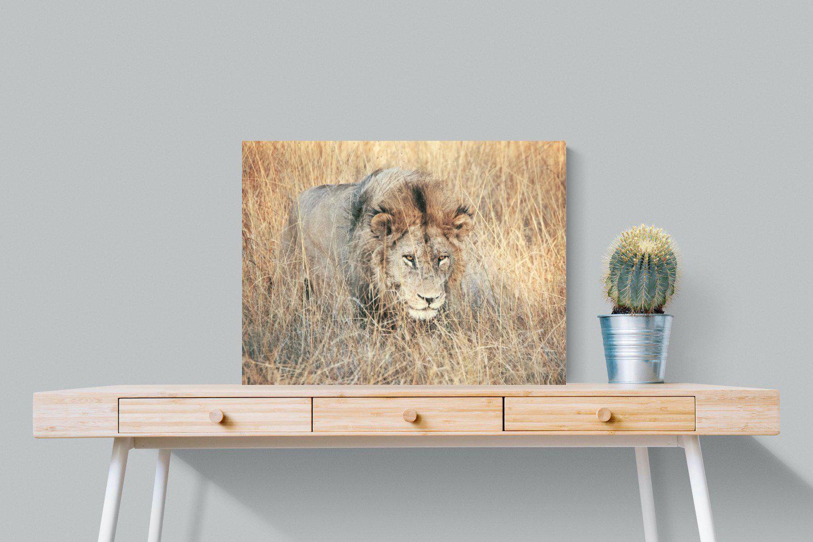 Stalking-Wall_Art-80 x 60cm-Mounted Canvas-No Frame-Pixalot