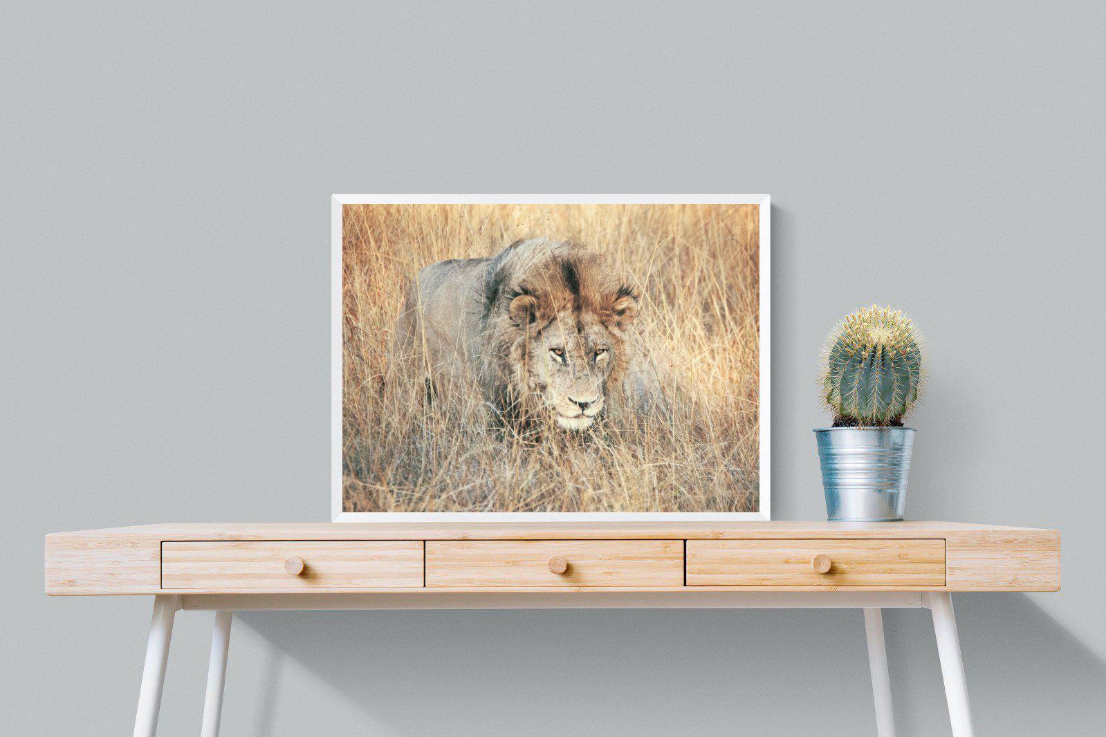 Stalking-Wall_Art-80 x 60cm-Mounted Canvas-White-Pixalot