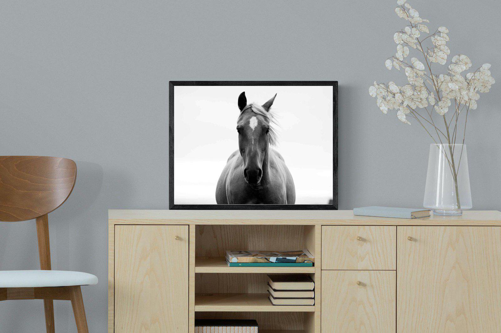 Stallion-Wall_Art-60 x 45cm-Mounted Canvas-Black-Pixalot