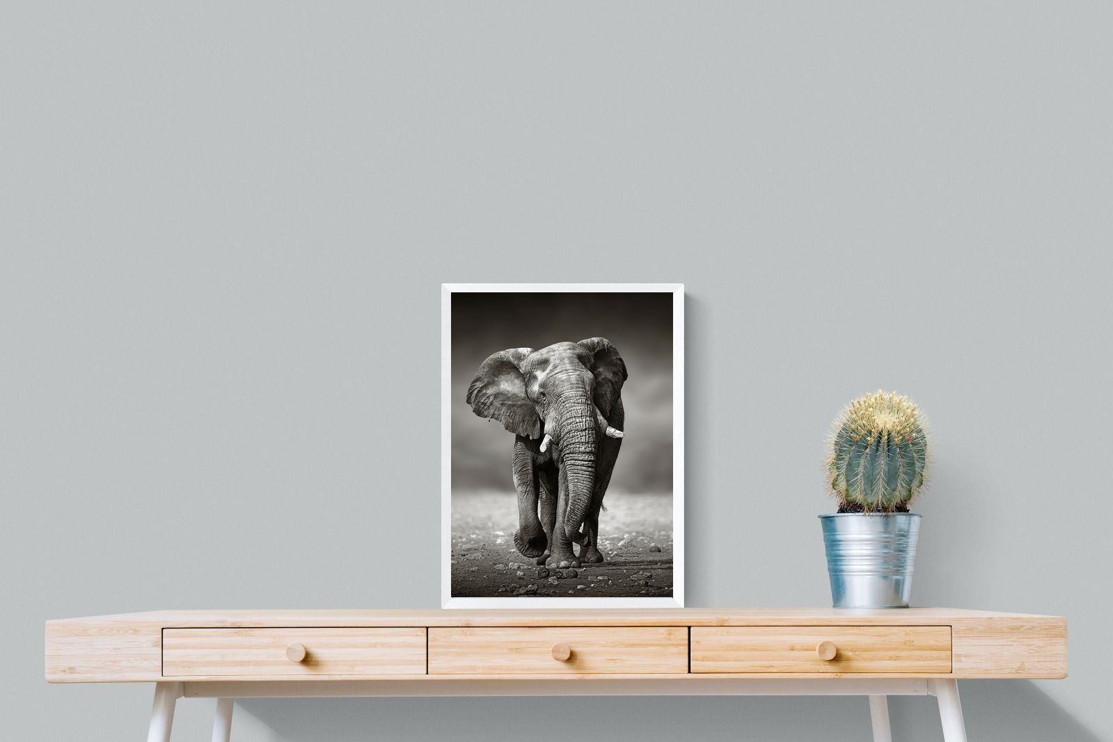 Stride-Wall_Art-45 x 60cm-Mounted Canvas-White-Pixalot