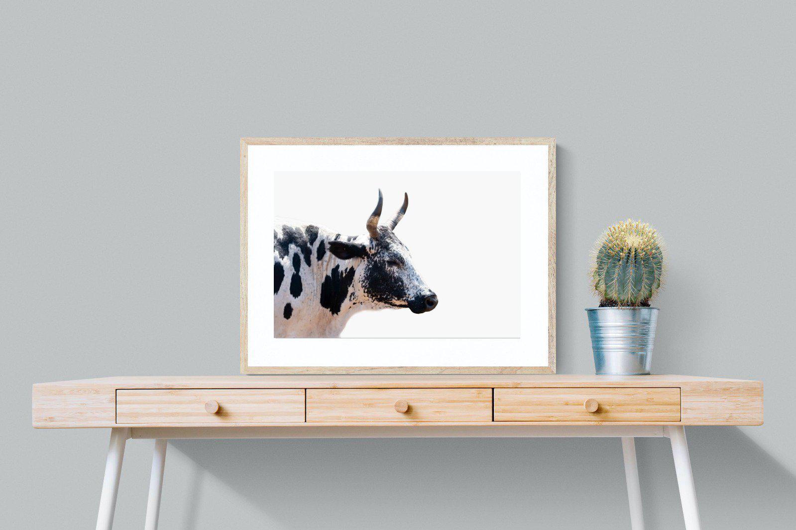 Strong Nguni-Wall_Art-80 x 60cm-Framed Print-Wood-Pixalot