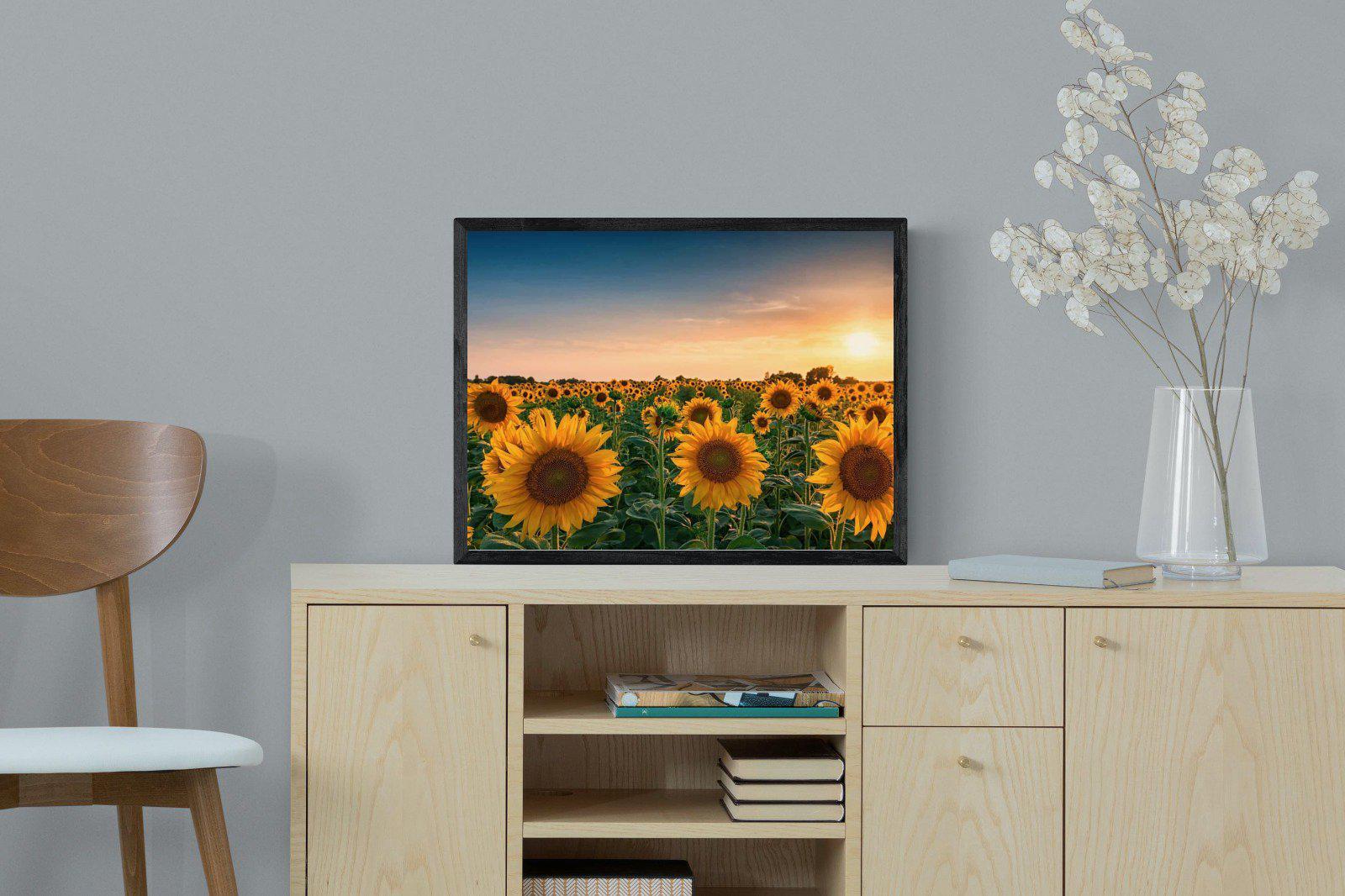 Sunflowers-Wall_Art-60 x 45cm-Mounted Canvas-Black-Pixalot