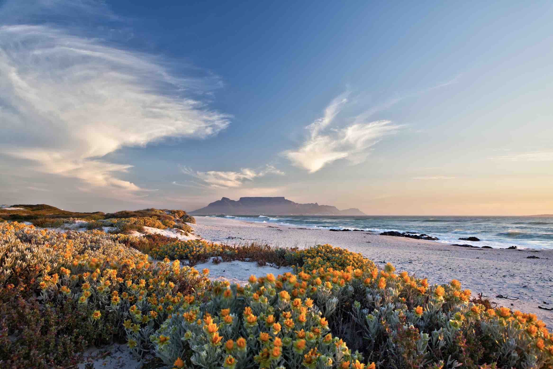 Table Mountain-Wall_Art-Pixalot