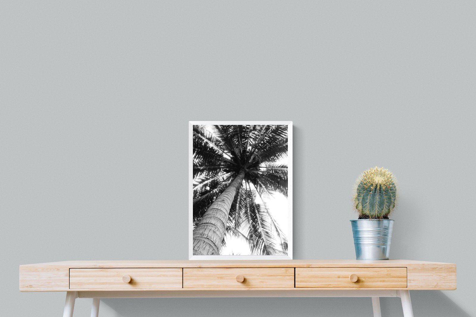 Tree Fan-Wall_Art-45 x 60cm-Mounted Canvas-White-Pixalot