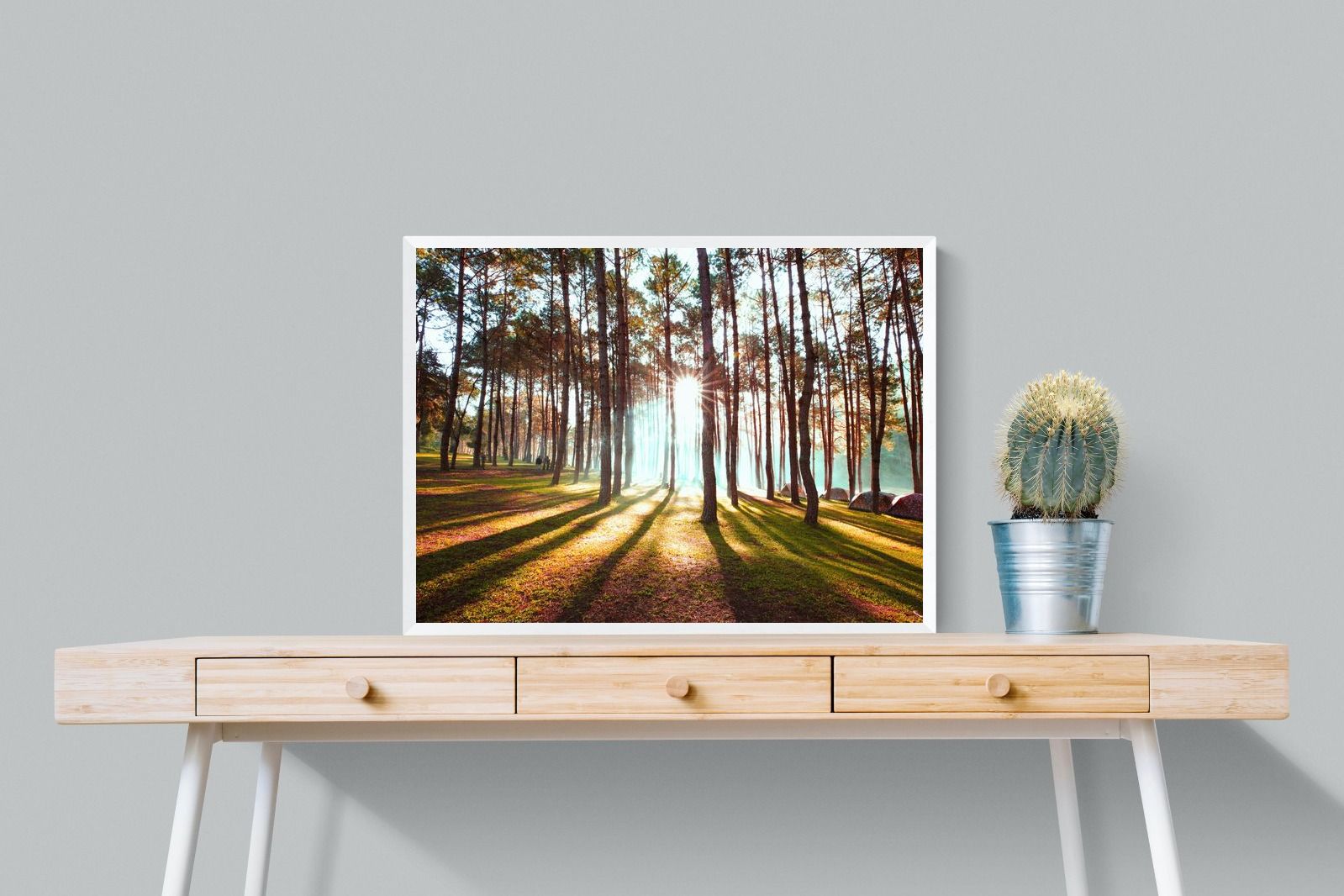 Tree Light-Wall_Art-80 x 60cm-Mounted Canvas-White-Pixalot