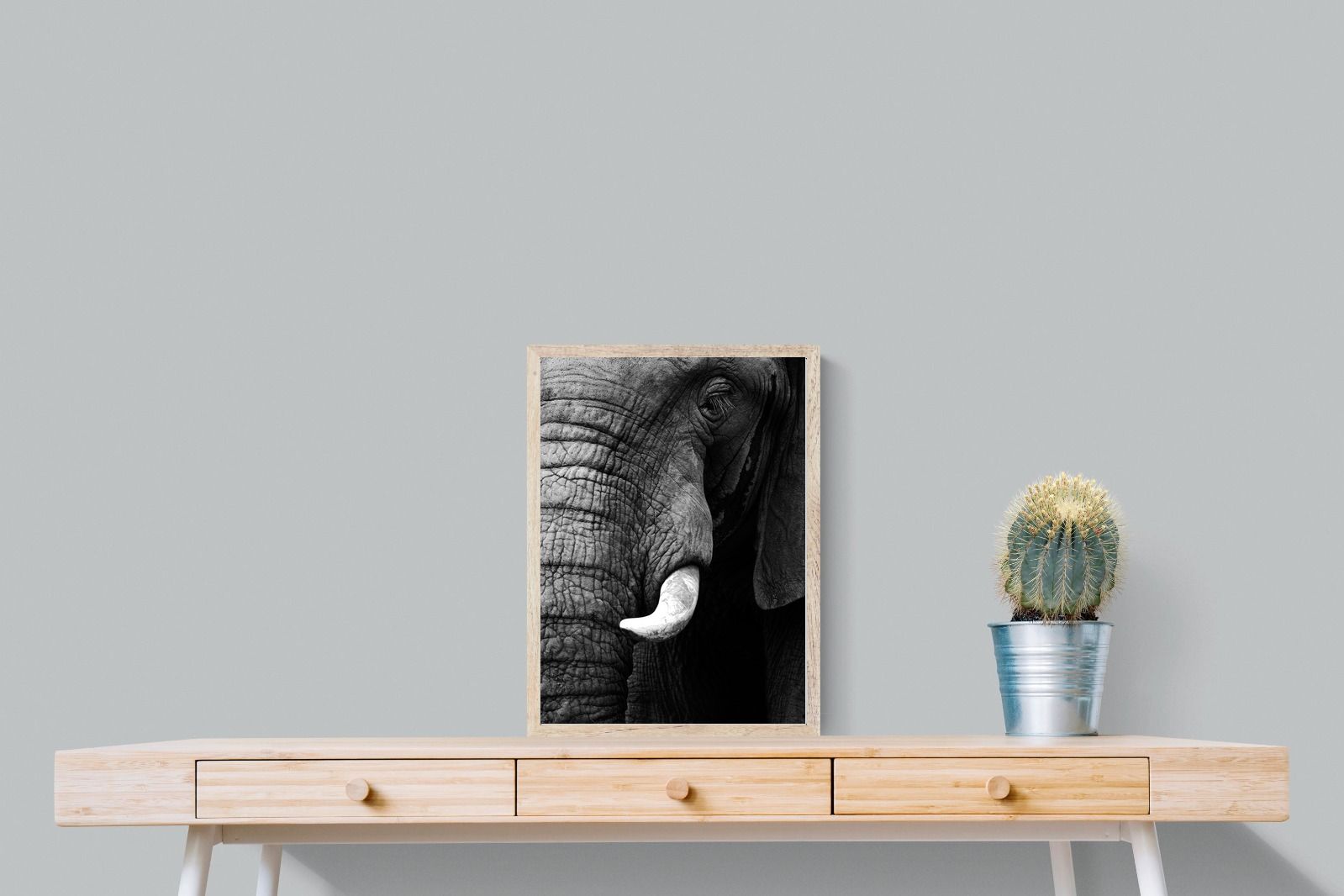 Tusker-Wall_Art-45 x 60cm-Mounted Canvas-Wood-Pixalot