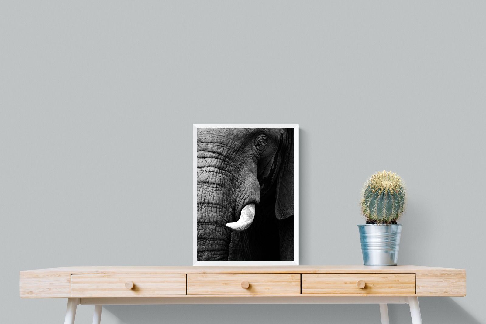 Tusker-Wall_Art-45 x 60cm-Mounted Canvas-White-Pixalot