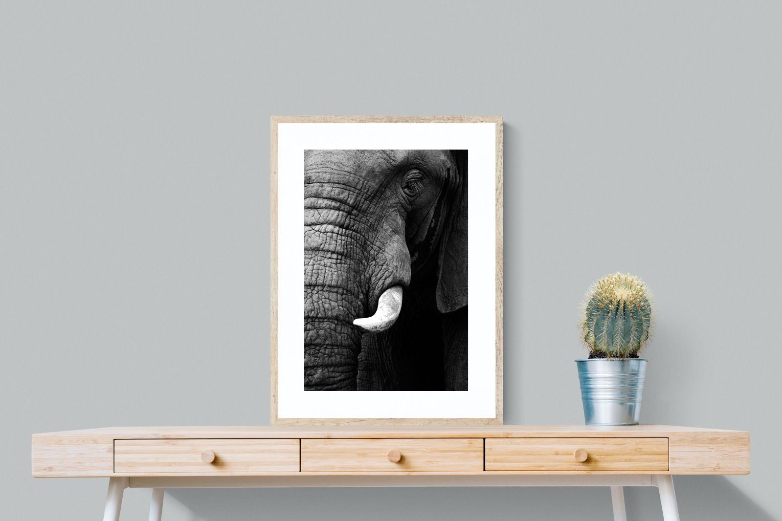 Tusker-Wall_Art-60 x 80cm-Framed Print-Wood-Pixalot