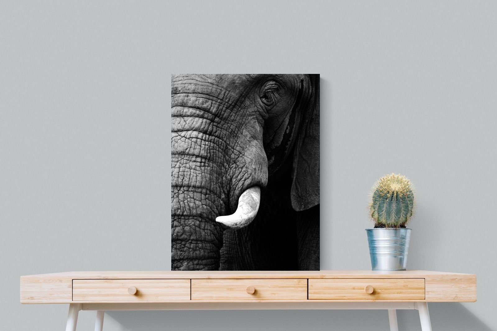 Tusker-Wall_Art-60 x 80cm-Mounted Canvas-No Frame-Pixalot