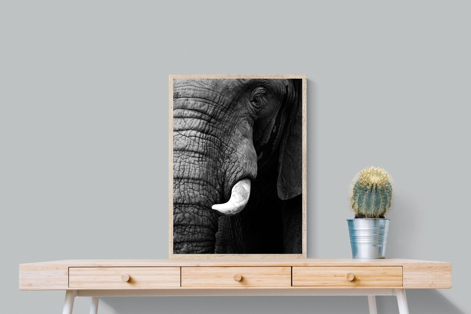 Tusker-Wall_Art-60 x 80cm-Mounted Canvas-Wood-Pixalot