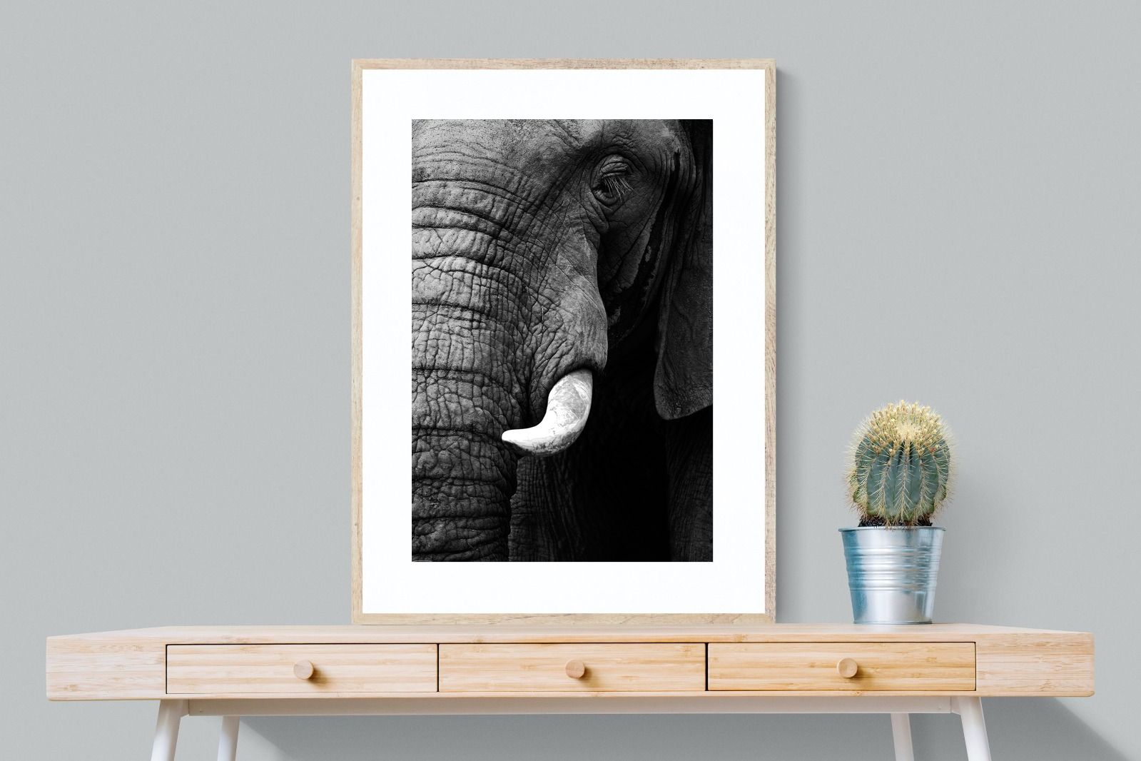 Tusker-Wall_Art-75 x 100cm-Framed Print-Wood-Pixalot