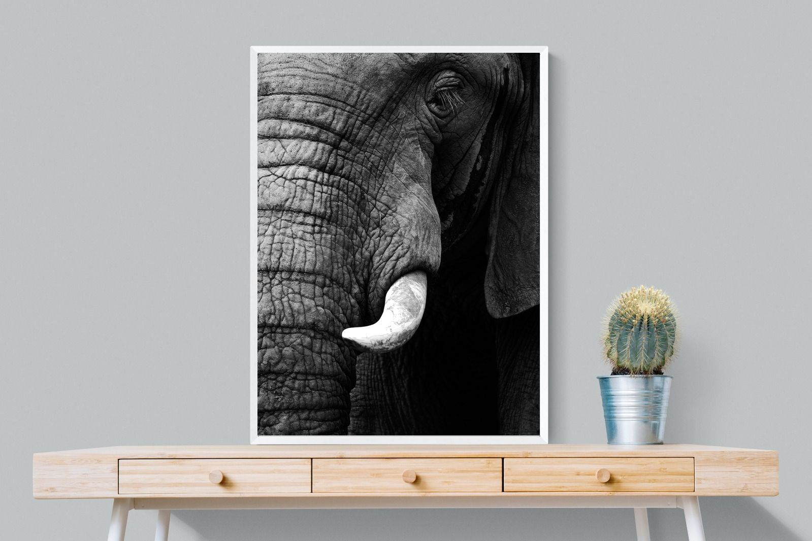 Tusker-Wall_Art-75 x 100cm-Mounted Canvas-White-Pixalot