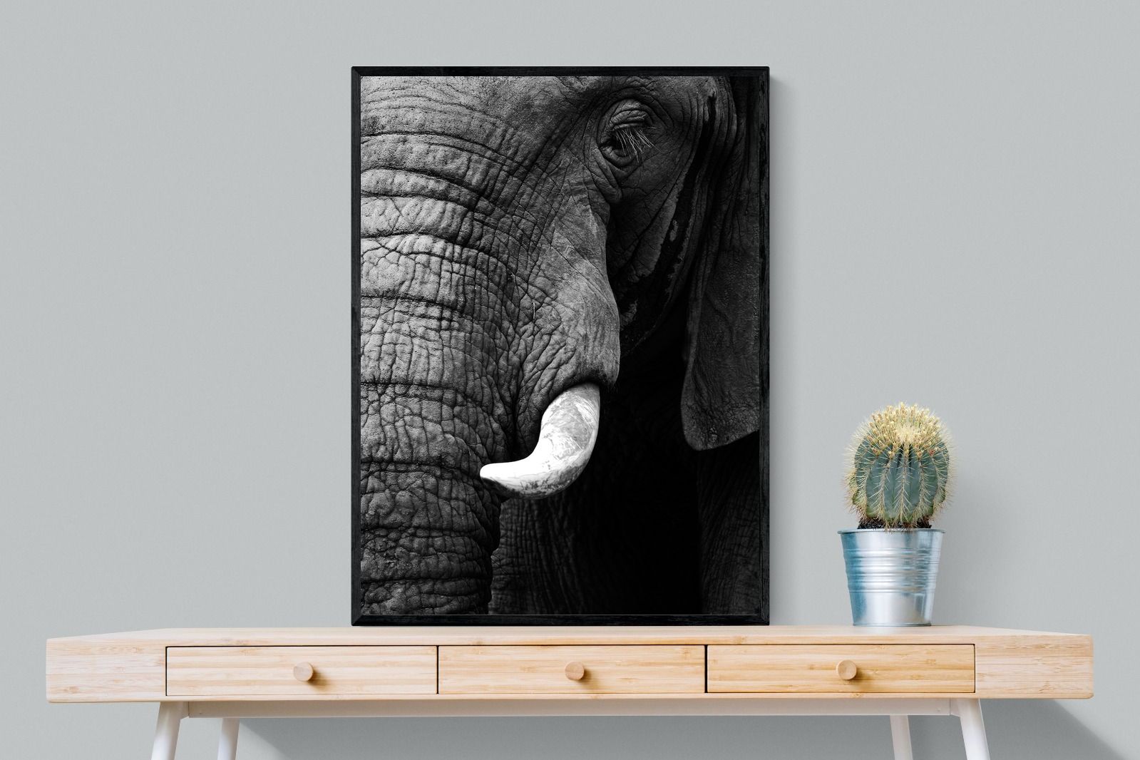 Tusker-Wall_Art-75 x 100cm-Mounted Canvas-Black-Pixalot