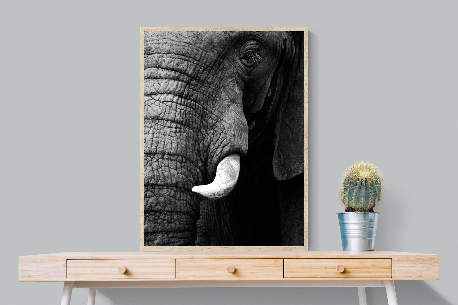 Tusker-Wall_Art-75 x 100cm-Mounted Canvas-Wood-Pixalot