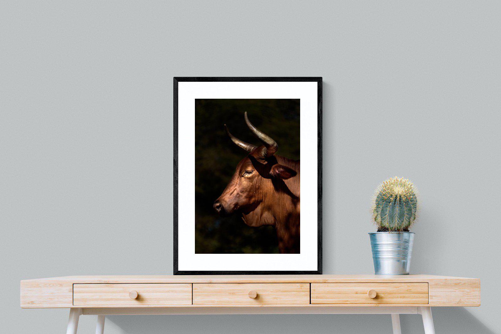 Velvet Nguni-Wall_Art-60 x 80cm-Framed Print-Black-Pixalot