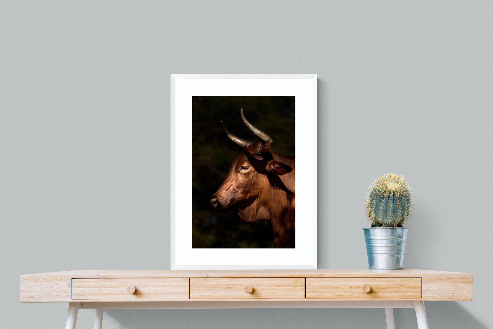 Velvet Nguni-Wall_Art-60 x 80cm-Framed Print-White-Pixalot