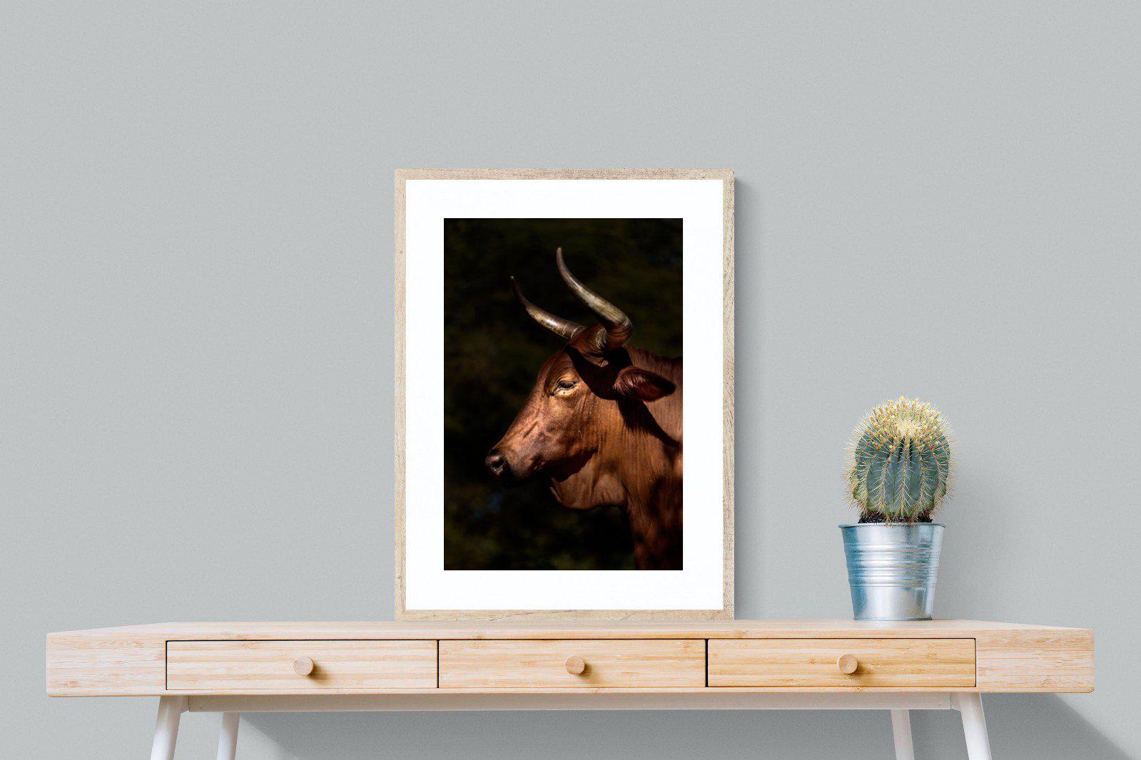 Velvet Nguni-Wall_Art-60 x 80cm-Framed Print-Wood-Pixalot