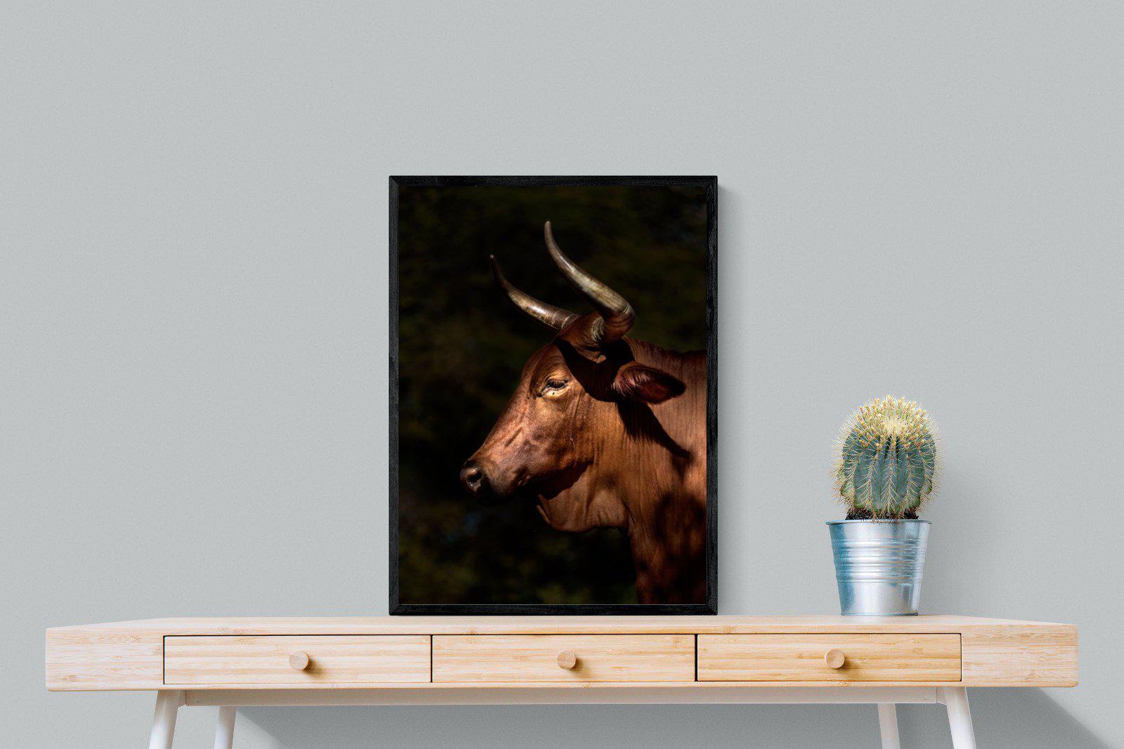 Velvet Nguni-Wall_Art-60 x 80cm-Mounted Canvas-Black-Pixalot