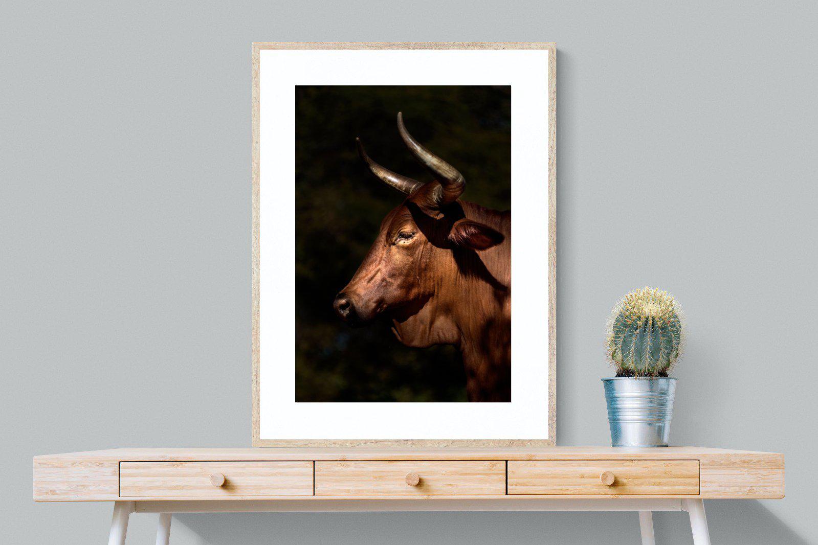 Velvet Nguni-Wall_Art-75 x 100cm-Framed Print-Wood-Pixalot