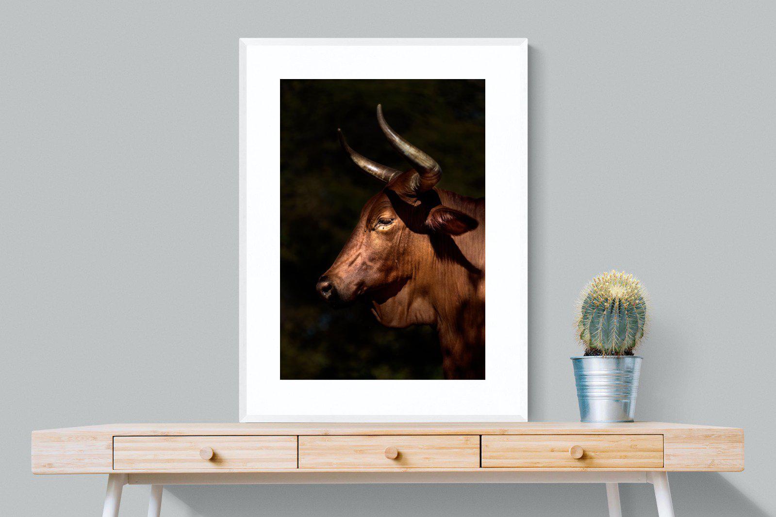 Velvet Nguni-Wall_Art-75 x 100cm-Framed Print-White-Pixalot