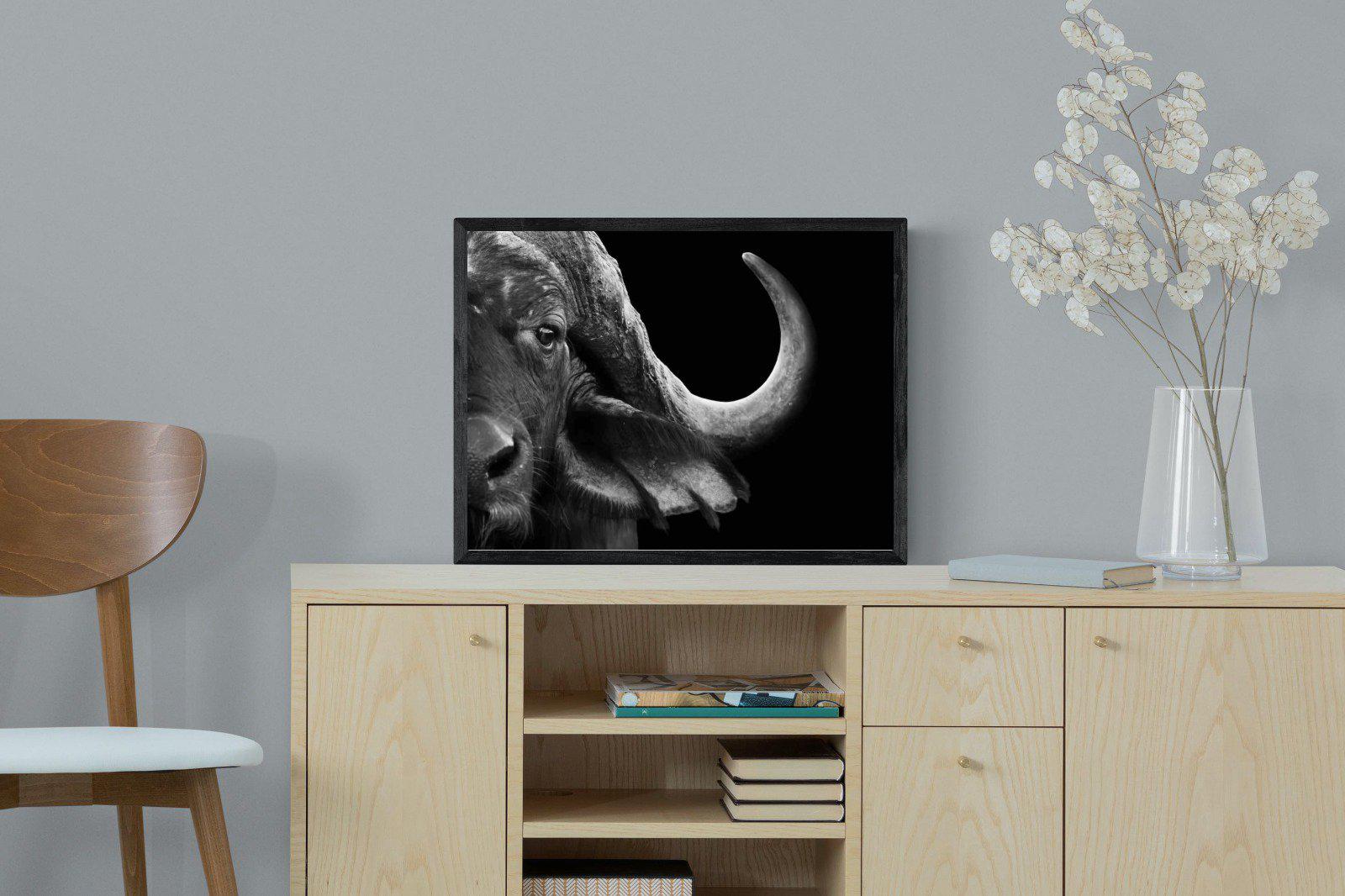 Water Buffalo-Wall_Art-60 x 45cm-Mounted Canvas-Black-Pixalot