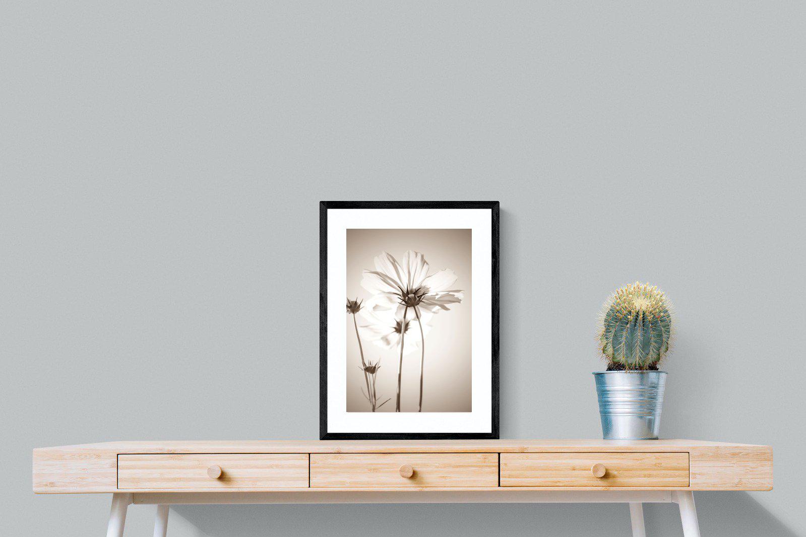 White Cosmos-Wall_Art-45 x 60cm-Framed Print-Black-Pixalot